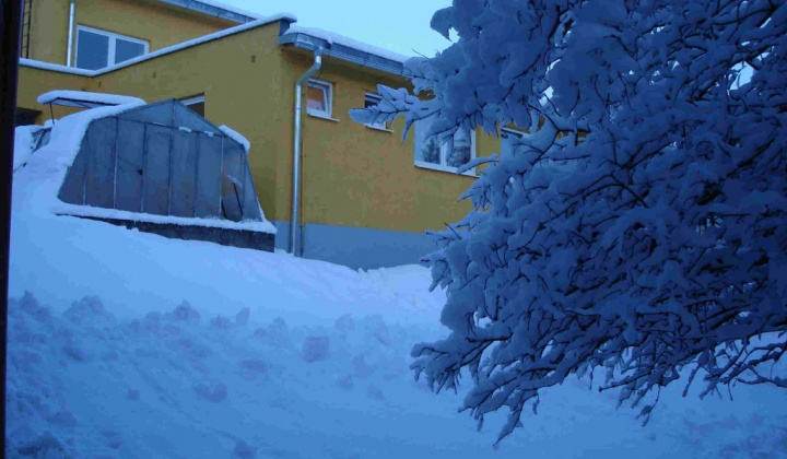 Škola dnes