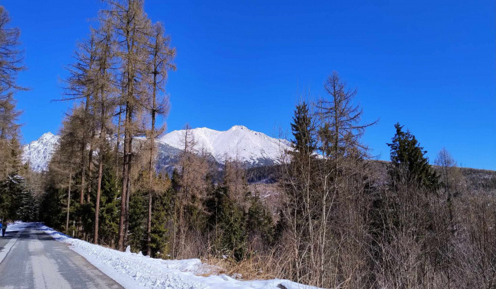 Akcie / Za krásami Vysokých Tatier - foto