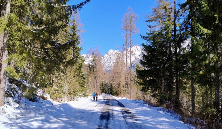 Akcie / Za krásami Vysokých Tatier - foto