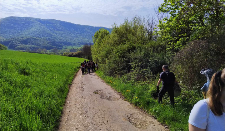 Akcie / Deň Zeme  - foto