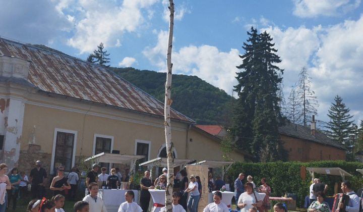 Akcie / Spolupráca s GemArt - foto