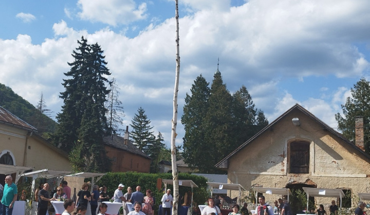 Akcie / Spolupráca s GemArt - foto