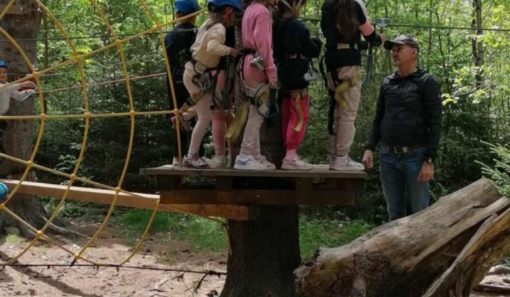Akcie / Škola v prírode - foto