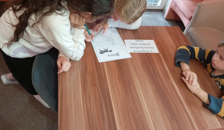 Akcie / Škola v prírode - foto