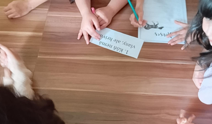Akcie / Škola v prírode - foto