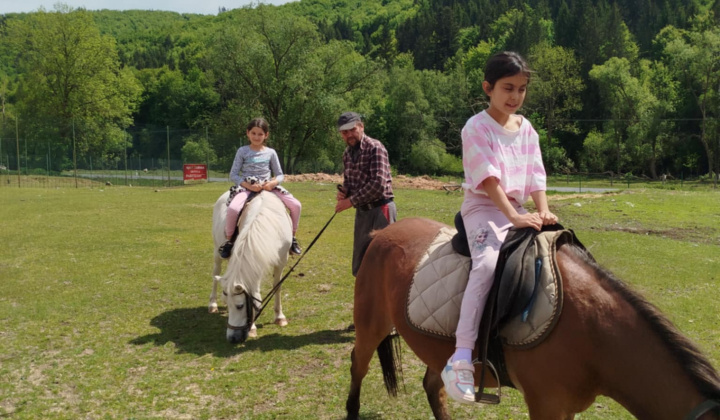 Akcie / Škola v prírode - foto