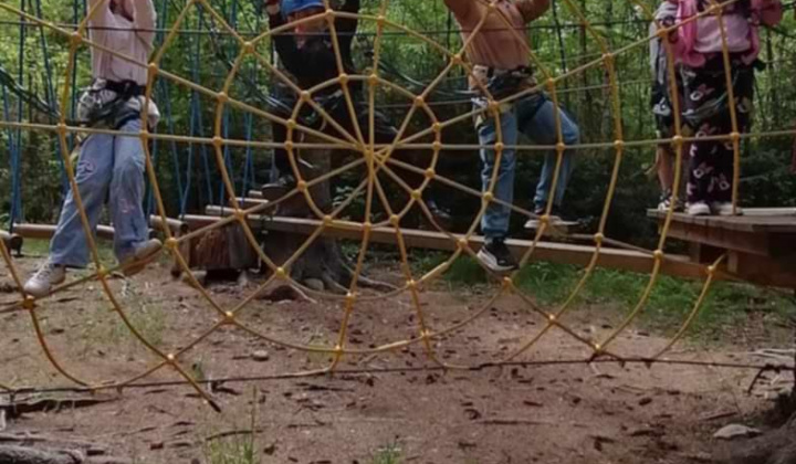 Akcie / Škola v prírode - foto