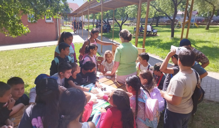 Akcie / Lesná pedagogika - foto