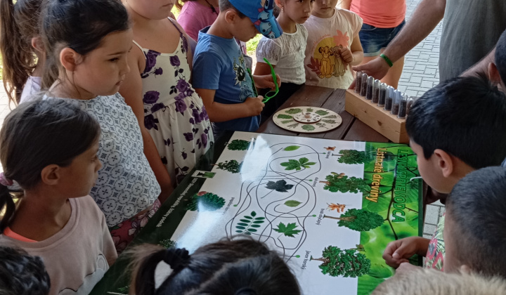 Akcie / Lesná pedagogika - foto