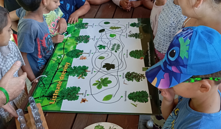 Akcie / Lesná pedagogika - foto