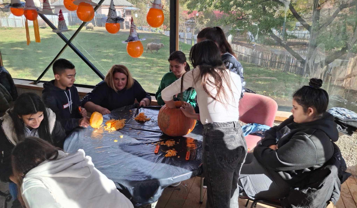 Akcie / Jesenné tvorivé dielne vo Vodnom hrade  - foto