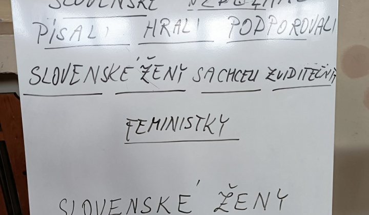 Akcie / Slovenské ženy v národnom hnutí - foto