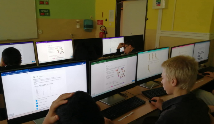 Súťaže / olympiády / iBobor - foto