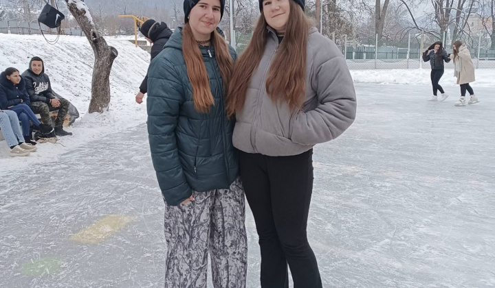 Akcie / Školské klzisko  - foto
