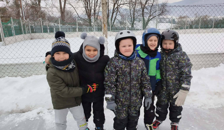 Akcie / Školské klzisko  - foto