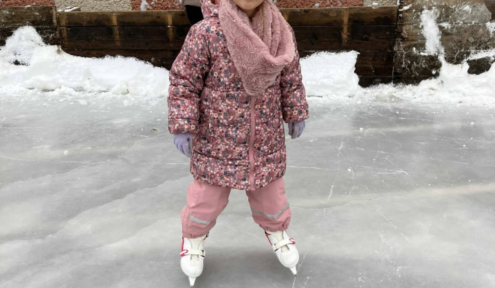 Akcie / Školské klzisko  - foto