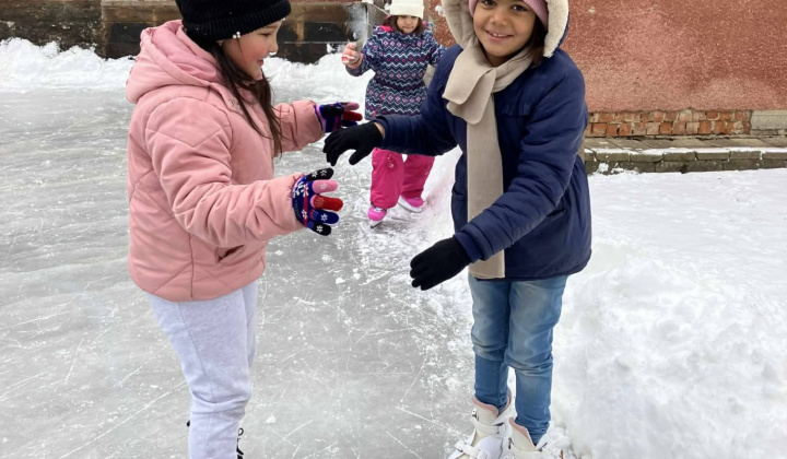 Akcie / Školské klzisko  - foto