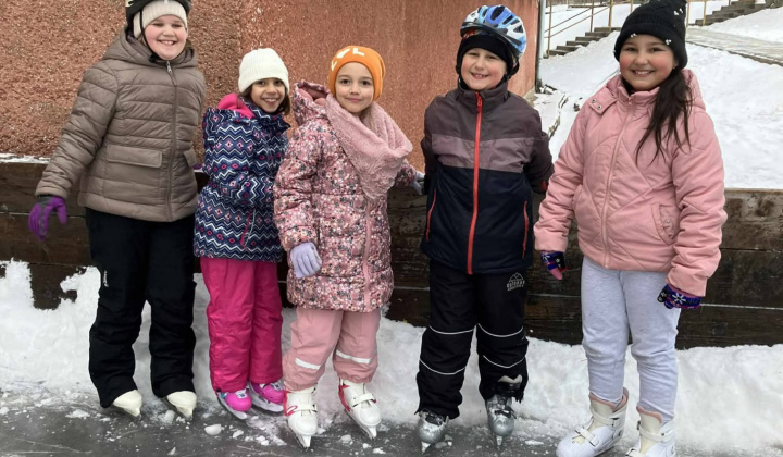 Akcie / Školské klzisko  - foto