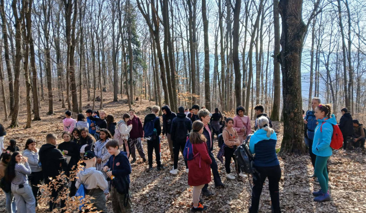 Akcie / Turistická vychádzka na Birinku - foto