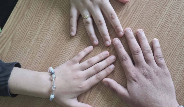 Akcie / Školský podporný tím  - foto