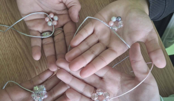 Akcie / Školský podporný tím  - foto