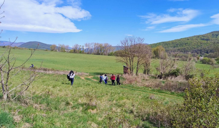 Akcie / Deň zeme - foto