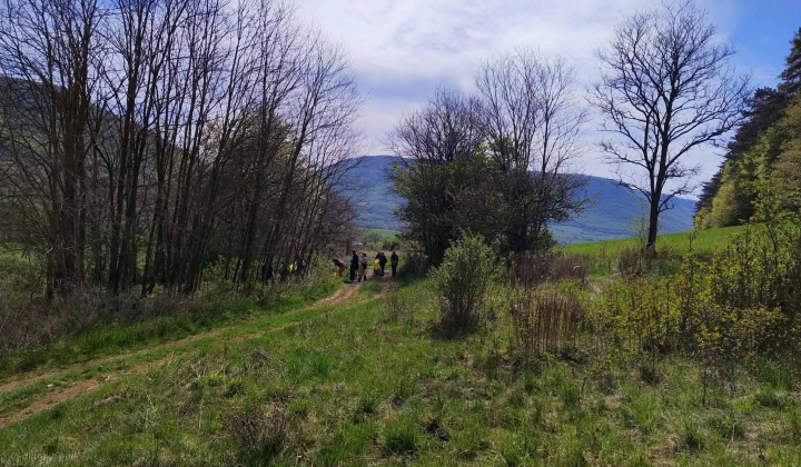 Akcie / Deň zeme - foto