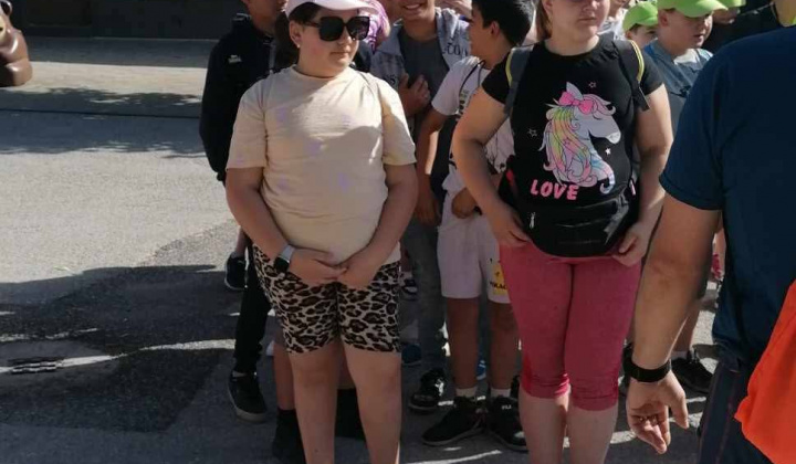 Akcie / Čo sa hýbe, to je živé - foto