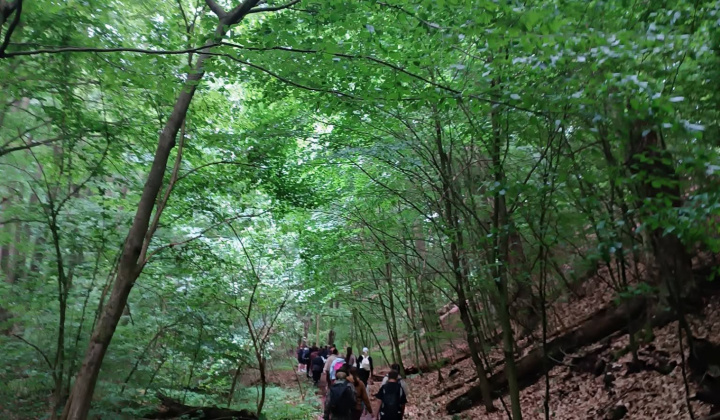 Akcie / Turistická vychádzka na Šomošku - foto