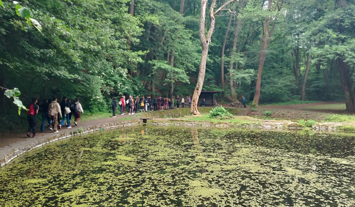 Akcie / Turistická vychádzka na Šomošku - foto
