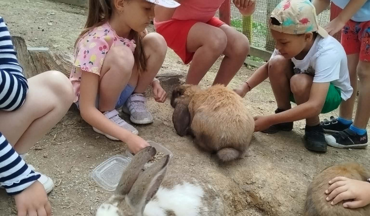 Akcie / Škola v prírode - Hrádok - foto