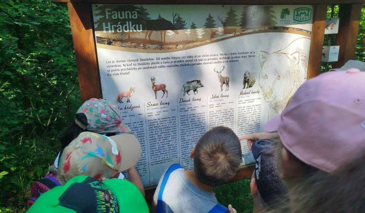 Akcie / Škola v prírode - Hrádok - foto