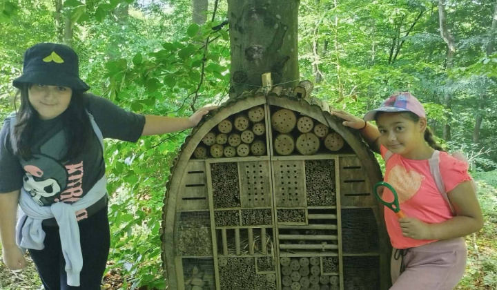 Akcie / Škola v prírode - Hrádok - foto