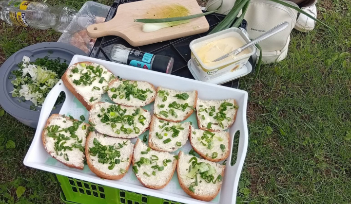 ŠKD / Piknik vo Vodnom hrade - foto