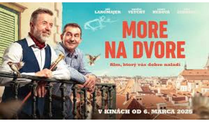 Filmové dopoludnie